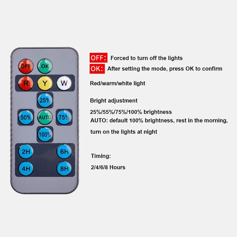 まくら木クラブ1/80 【希少品】国鉄ハイウェイバス 日野RA-900-P